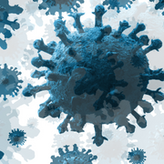 Microbiota y COVID-19