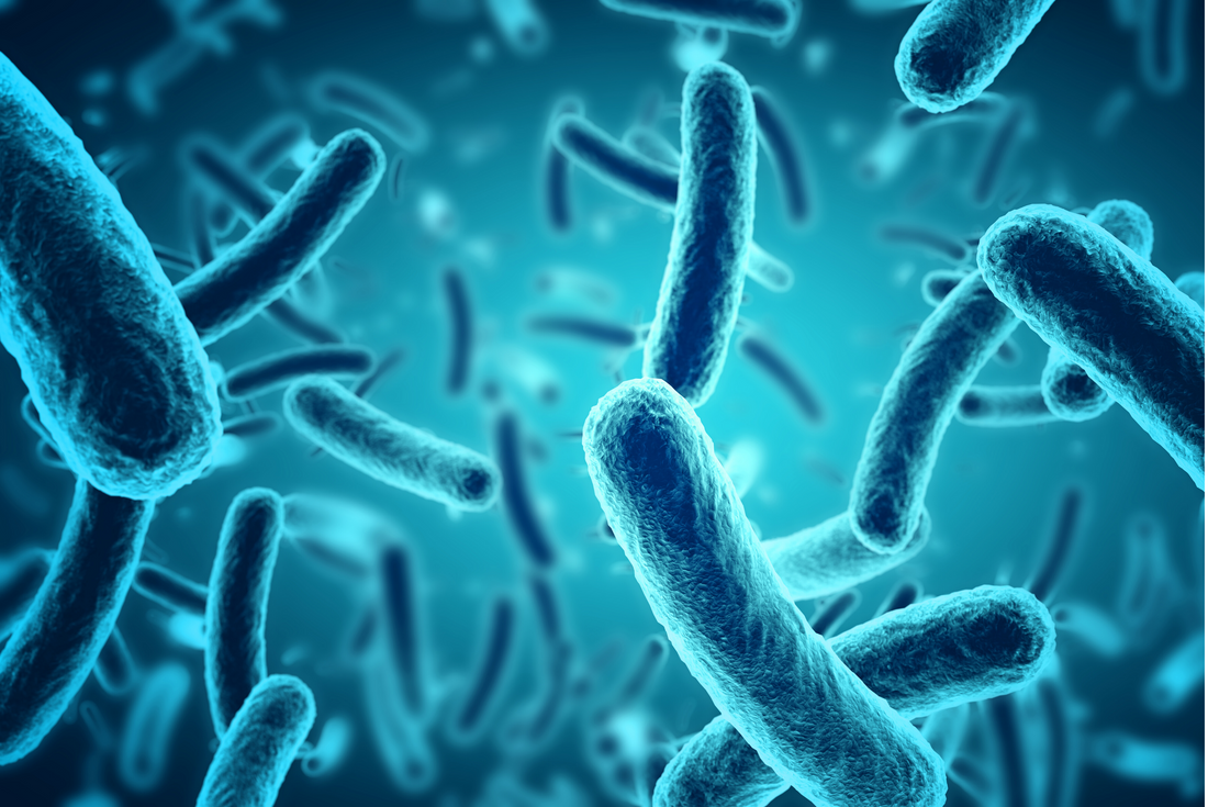 Efecto de la Bifidumbacteria Bifidum en Enfermedades Respiratorias Altas