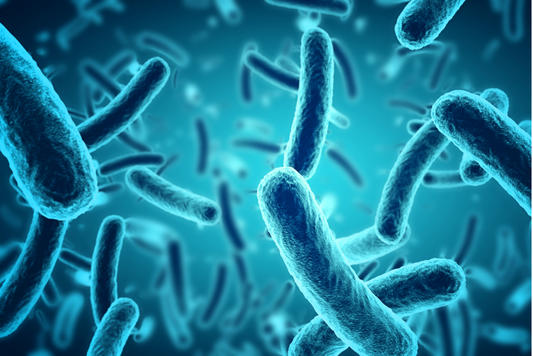 Efecto de la Bifidumbacteria Bifidum en Enfermedades Respiratorias Altas