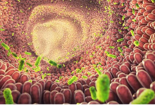 Estas son cosas que debemos agradecerle a nuestra microbiota