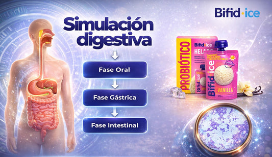 🧬 ¿Qué es sistema de simulación digestiva y por qué importa para tu salud intestinal (y la de tus hijos)?
